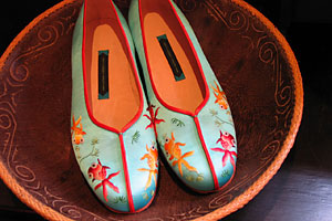 suzhou autumn shoes.jpg